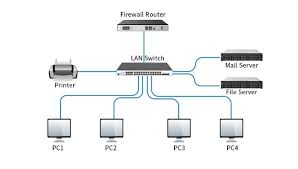 Servidores y Switches